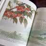 给孩子读诗系列：给孩子读诗+白蝴蝶+二十四节气里的花与诗+泰戈尔写给孩子的诗（套装全4册） 7-10岁 童立方出品  实拍图