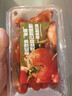 【水果菜】腰果西红柿400g 实拍图