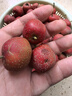 山胖子沂蒙山农场新鲜山楂果大金星山楂山里红糖葫芦球用应季生鲜水果 大金星山楂3斤+取核器 实拍图