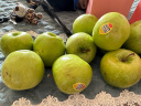 GREENHOW美国青苹果新鲜进口水果礼盒装高档酸苹果 12颗装 实拍图