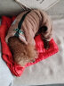COCS狗狗衣服保暖加绒猫咪衣服冬季中小型犬泰迪博美棉衣四脚带牵引扣 卡其色 XL（建议体重12-16斤） 晒单实拍图