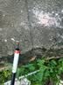 宝飞龙飞龙传奇鲫鲤草青综合鱼竿超轻硬5H28调轻量大物杆手杆鲢鳙6.3米 实拍图
