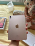 Apple/苹果 iPad mini(第 6 代)8.3英寸平板电脑 2021款(64GB WLAN版/MLWL3CH/A)粉色 实拍图