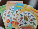 小红花玩贴纸走进恐龙世界（全4册）3-4-5-6岁儿童科普 实拍图