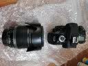 佳能/CANON  80D 60D 70D 77D 50D 90D 半画幅 二手单反相机 佳能80D 18-200 IS 套机 95新 实拍图