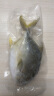 翔泰 冷冻海南金鲳鱼900g 2条装 ASC 鱼类生鲜 火锅食材 海鲜水产 实拍图