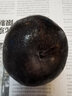 京地达东北冻梨 秋梨大黑梨苹果梨 净重2斤单果230-300g源头直发包邮 实拍图