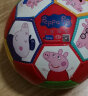 亚之杰玩具球小猪佩奇儿童足球1-3岁玩具小皮球拍拍球2号佩琪一家新年礼物 实拍图