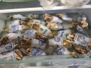 贝司令【鲜活】乳山生蚝海鲜水产贝类牡蛎烧烤3XL 净重9斤 23-32只箱装 实拍图