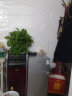 扬佳（YZJM）冰箱双门小型冷冻冷藏迷你家用冰箱双开门宿舍租房静音节能  BCD-42H108-42L银色高80厘米加厚款 实拍图