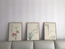 佑圣新中式客厅装饰画晶瓷画客厅简约三联画卧室沙发背景墙壁画兰花 兰花三联 50*70拉丝亮钛金【晶瓷画】 实拍图