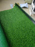 夺秀 仿真草坪地毯塑料假草皮 人造草坪阳台户外人工草坪幼儿园假草坪 20mm全新升级原生料5A级春草/平方 高等级 实拍图