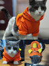 憨憨宠 狗狗衣服 猫衣服宠物衣服变身装猫咪衣服中小型犬幼犬秋冬服装 小老虎款 M号建议体重4-7斤 实拍图