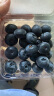 茜货丹东蓝莓 8盒装20mm+ 约125g/盒 生鲜水果 源头直发 晒单实拍图