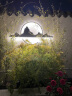 仁彩新中式户外壁灯LED太阳能防水铁艺别墅庭院墙壁影壁影壁景观灯 月球壁灯60*4CM暖光 晒单实拍图