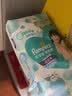 帮宝适（Pampers）拉拉裤干爽透气尿不湿宝宝成长裤男女通用学步裤裤型尿不湿 清新帮大码L42片【9-14kg】 实拍图