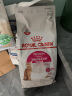 皇家（ROYAL CANIN）狗干粮 小型犬成犬狗粮10月龄以上全价粮贵宾泰迪比熊 适口性佳 PR27小型成犬≥10个月8KG 实拍图