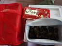 【活蟹】阳澄小斌大闸蟹 鲜活精挑特大螃蟹公蟹母蟹生鲜水产礼盒 精品六月黄3.0-3.3两 十只礼盒装 实拍图