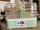 艾格丽（Aigoli） 干果机四层果蔬烘干机食品风干机家用水果脱水肉干零食自制 清新绿色 晒单实拍图