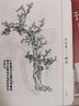 【精装珍藏版】芥子园画谱正版全套4册原版芥子园画传中国传世山水画写意花鸟人物兰梅竹菊绘画国画 实拍图