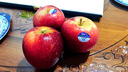美纵新鲜新西兰进口嘎啦果gala果加力果姬娜果脆甜可口新鲜 1斤 嘎啦/加力 65mm（含）-70mm(不含) 实拍图
