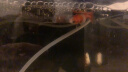 小米米家智能鱼缸小型客厅办公室桌面一键换水远程喂食超白玻璃生态缸 小米鱼缸+加热棒+珊瑚造景 晒单实拍图