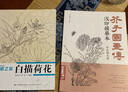 芥子园画传浅印描摹本《草虫翎毛谱》中国画入门零基础书籍白描线稿临摹本描摹册线条初学者工笔画自学教材 实拍图