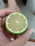 马保果海南青柠檬应季新鲜青柠薄皮绿肉柑绿鲜柠檬 实拍图