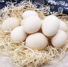 鹤农益得笨土鸡蛋生鲜不含沙门氏菌新鲜农家散养孕妇喜蛋精品礼盒 30枚 1350g +土鸡蛋 实拍图