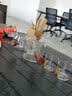 正扬玻璃茶具套装家用高档整套侧把功夫泡茶壶茶杯办公电陶炉煮茶烧水 12头(侧把)直觉-6金色把+杯架 实拍图
