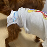 嬉皮狗狗狗尿不湿公狗纸尿裤超薄狗狗生理裤小型犬泰迪柯基金毛中大型犬 女宝S（建议体重4-10斤） 实拍图