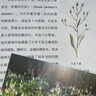 迈尔斯教授讲世界历史：世界通史（上下册） （谁掌控文明的密码，谁便是世界的领导者） 实拍图