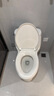 科勒（KOHLER）连体马桶坐便器圣罗莎丽裙版五级旋风连体坐便器 缓降盖板+三件套 305mm坑距 实拍图