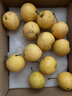 梦宛怡辽宁鞍山特产南果梨东北当季酒香水梨子现摘新鲜酥脆南国梨水果 净重4.5斤优选大果80-120g约24粒 精品果 实拍图