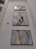 领洁（LINGJIE）客厅装饰画简约现代沙发背景墙挂画轻奢高级感2025新款晶瓷壁画 D款 左右60*80中间110*80 晶瓷画 实拍图