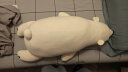 LIV HEART日本北极熊睡觉抱枕毛绒玩具布娃娃公仔陪伴玩偶生日礼物 北极熊象牙白(常规款) L号 晒单实拍图