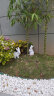 鸿日光辉 仿真动物小白兔子摆件景观公园树脂雕塑工艺品花园林庭院户外装饰品 兔子3兄弟 实拍图