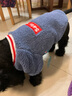 拉维佩特（LOVINGPET）泰迪狗狗衣服冬天 羊羔绒宠物衣服小型犬冬季比熊衣服幼犬猫衣服 蓝灰色 XL 建议15-20斤 实拍图