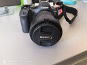 佳能（Canon）r6二代 全画幅微单相机 EOS R6 Mark II 4K数码高清旅游人像vlog摄影机身 r62二代相机 专业级微单 R6二代+24-105STM镜头套机 套餐一【128G卡-双 实拍图