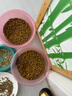 N1爱宠爱猫 PURINA ONE万牌猫粮成猫室内猫成年期英短蓝猫通用型猫粮2kg 三文鱼配方成猫粮2kg 实拍图