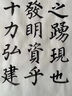 臻言 颜真卿多宝塔碑文全文临摹 颜体楷书大楷毛笔字帖初学者入门大字描红本 颜体多宝塔碑大字全文170张 实拍图
