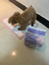 嬉皮狗狗狗尿不湿公狗纸尿裤超薄狗狗生理裤小型犬泰迪柯基金毛中大型犬 女宝XS（建议体重2-4斤） 实拍图