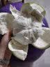 涑淇源青柚 白肉柚子 新鲜水果生鲜进口大果青皮蜜柚子新鲜白心蜜柚 特大果1200g以上 青柚2个装 实拍图