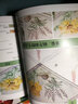 丝带绣艺术家：当丝带遇见立体刺绣 实拍图