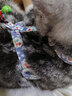 憨憨乐园猫绳牵引绳项圈防挣脱猫咪外出溜遛猫绳链子兔宠物胸背带 藏青色 M号【6-15斤内猫咪使用】 实拍图