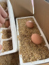 新鲜土鸡蛋农家散养笨鸡蛋农村自养天然柴鸡蛋草鸡蛋整箱 40枚 晒单实拍图