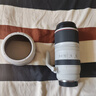 佳能（Canon）RF100-500mm F4.5-7.1 L IS USM 远摄变焦镜头 微单镜头（全画幅EOS R系统专用） 实拍图