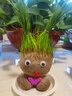易囍艺 水培巴西木幸运木格鲁特创意绿植盆栽室内好养办公桌面植物 长草娃娃2个+2底托 规格 实拍图