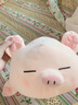 捉趣（ZHUOQU）小猪公仔可爱创意毛绒玩具玩偶陪睡抱枕靠垫娃娃玩偶女生生日礼物 BOBO眯眼猪猪 40cm 实拍图