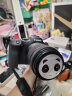 佳能（Canon）EOS R6 Mark II 24-105 STM镜头套机  旅游街拍套装 晒单实拍图